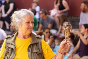 20230813_SV5_3672 - Beardsley Zoo - Sky Hunters In Flight - by Scott Vincent - Web