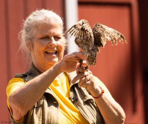 20230813_SV5_3721 - Beardsley Zoo - Sky Hunters In Flight - by Scott Vincent - Web