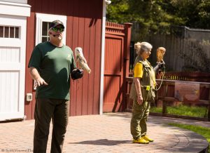 20230813_SV5_3765 - Beardsley Zoo - Sky Hunters In Flight - by Scott Vincent - Web