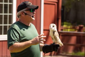 20230813_SV5_3778 - Beardsley Zoo - Sky Hunters In Flight - by Scott Vincent - Web