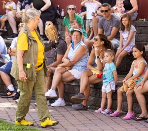 20230813_SV5_3813 - Beardsley Zoo - Sky Hunters In Flight - by Scott Vincent - Web