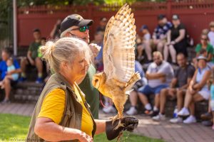 20230813_SV5_3840 - Beardsley Zoo - Sky Hunters In Flight - by Scott Vincent - Web