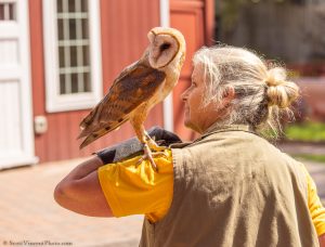 20230813_SV5_3861 - Beardsley Zoo - Sky Hunters In Flight - by Scott Vincent - Web