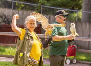 20230813_SV5_3936 - Beardsley Zoo - Sky Hunters In Flight - by Scott Vincent - Web