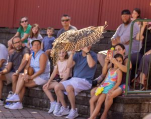 20230813_SV5_4096 - Beardsley Zoo - Sky Hunters In Flight - by Scott Vincent - Web