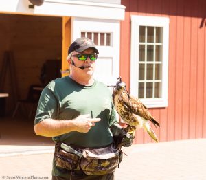 20230813_SV5_4189 - Beardsley Zoo - Sky Hunters In Flight - by Scott Vincent - Web