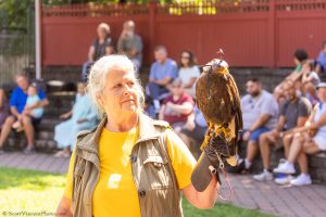 20230813_SV5_4202 - Beardsley Zoo - Sky Hunters In Flight - by Scott Vincent - Web